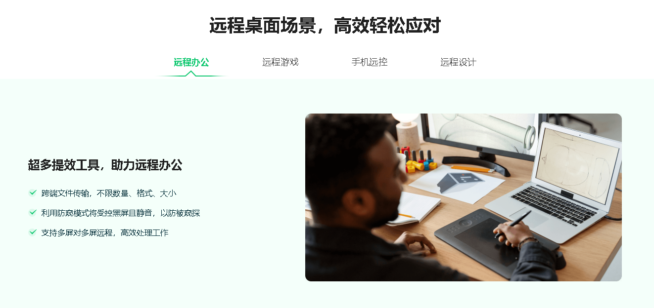  RayLink远程办公软件
